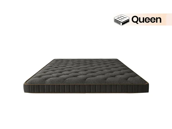 Belle Queen 1BHK Plus Combo